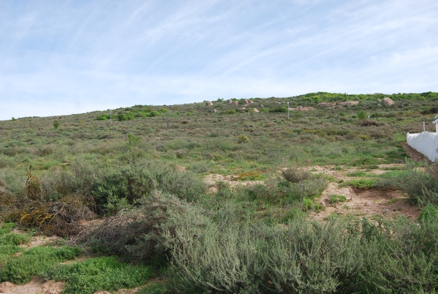 0 Bedroom Property for Sale in Sandy Point Harbour Western Cape